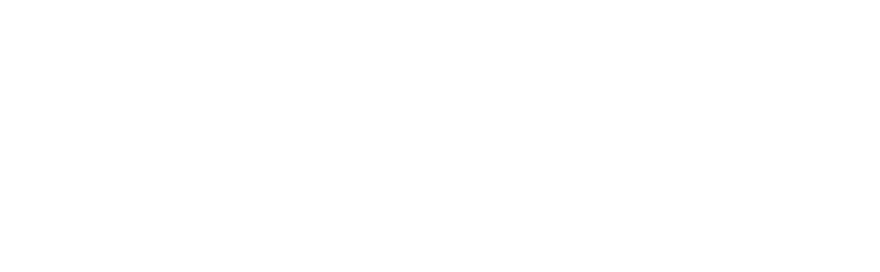 Arlison Archviz